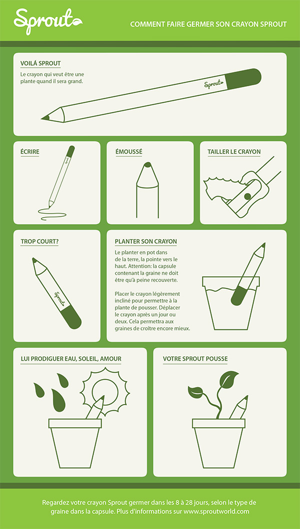 comment faire germer son crayon sprout